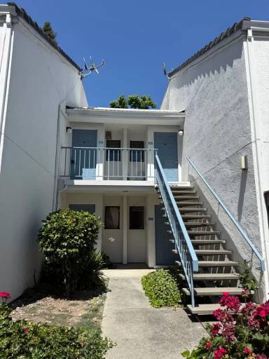 Main picture of Mission Grove