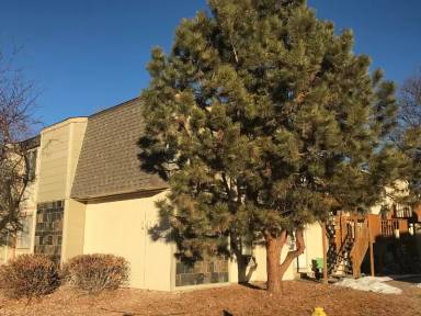 Main picture of 1420 Birch St