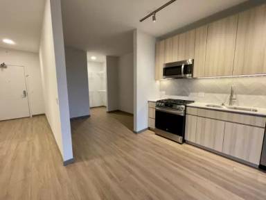 Main picture of 524 N Damen Ave