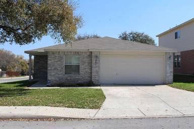 Main picture of 284 Texas Mulberry