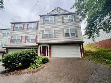 Main picture of 295 Silver Leaf Dr