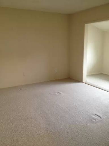 Main picture of 116 Driftwood Ct