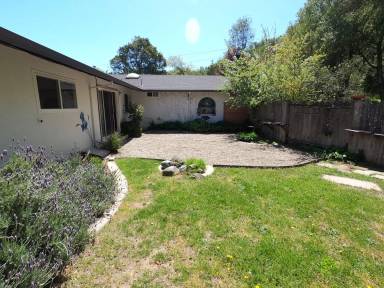 Main picture of 10 Kathy Ct