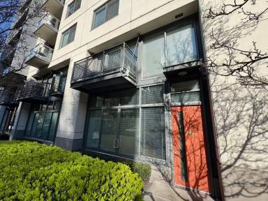 Main picture of 81 Clay Street Apartments