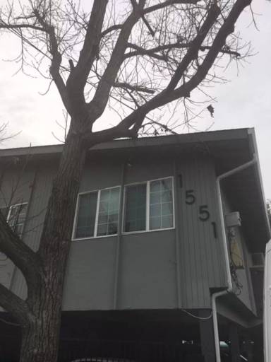 Main picture of 1125 Lacey Ln
