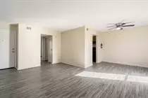 Main picture of Virginia Pines