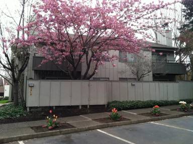 Main picture of 6870 SW Hall Blvd