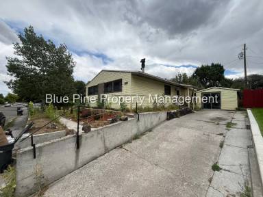 Main picture of 1080 Halsey St
