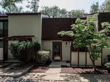 Main picture of 5470 Wild Lilac
