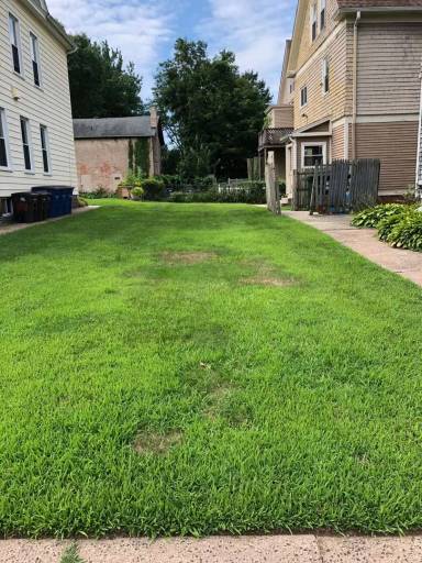 Main picture of 577 Orange St