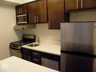 Main picture of 222 E Chestnut Condo