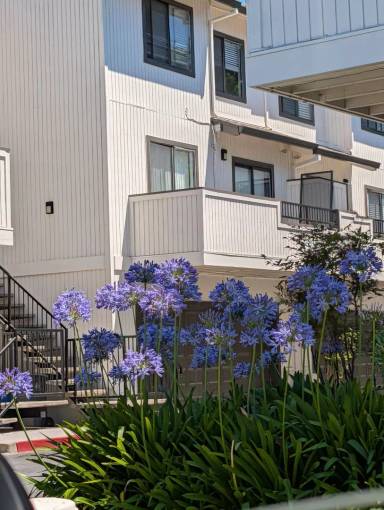 Main picture of 1 Frisbie St