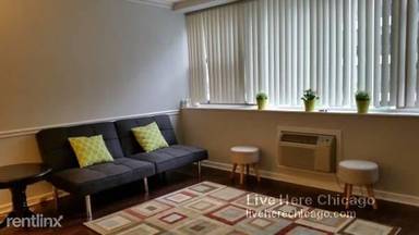 Main picture of 253 E Delaware Condos