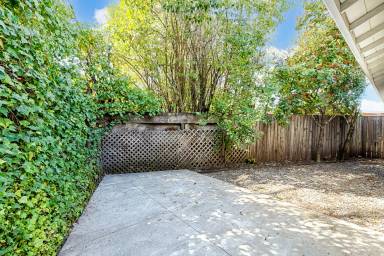 Main picture of 1537 Lynn Ct