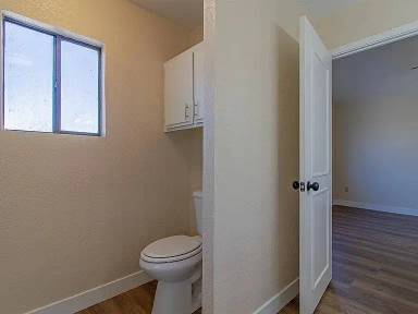 Main picture of Tropicana Palms