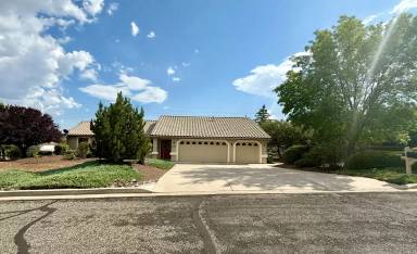 Main picture of 1003 Panicum Dr