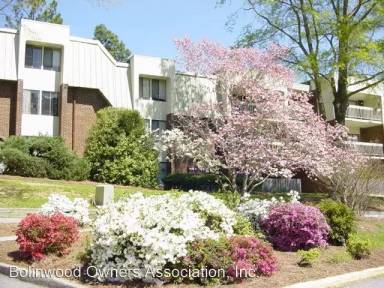 Main picture of Bolinwood Condominiums