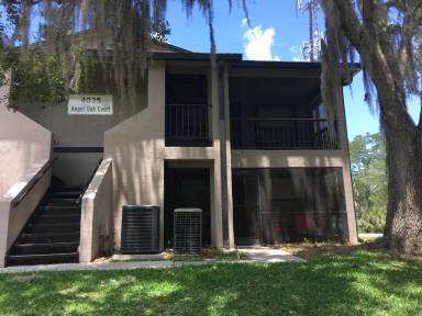 Main picture of 4035 Angel Oak Ct