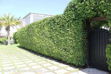 Main picture of Jade at Olde Naples