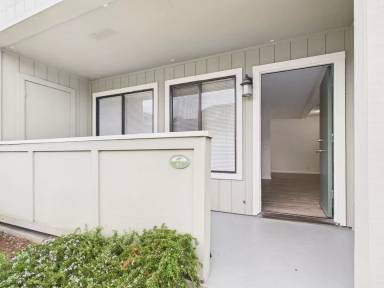 Main picture of Casanova Plaza