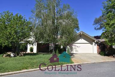 Main picture of 505 Adriana Pl