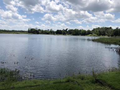 Main picture of 1201 Village Lake Dr S