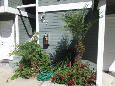 Main picture of 467 Buchon St