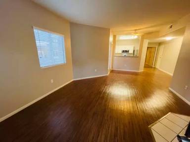 Main picture of Spanish Palms