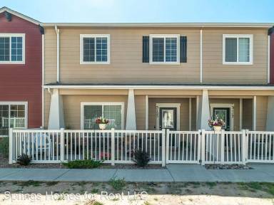 Main picture of 3158 Wild Peregrine Vw