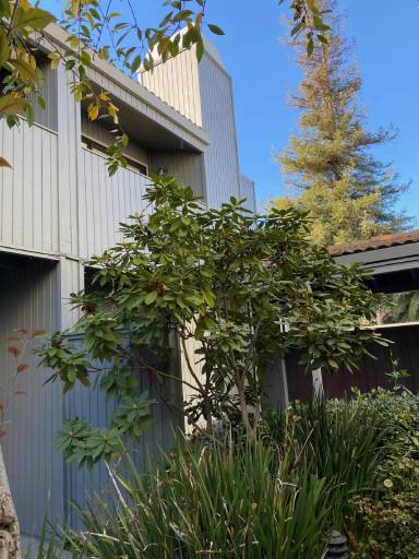 Main picture of 20 Barneson Avenue, Unit E