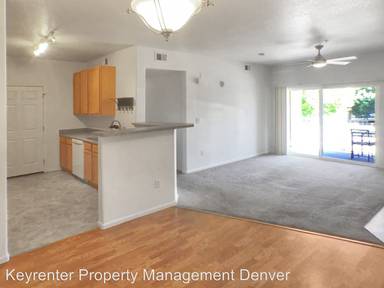 Main picture of Savannah