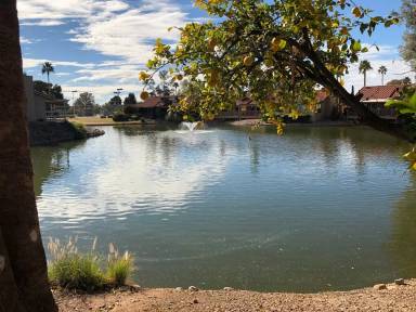 Main picture of Leisure World