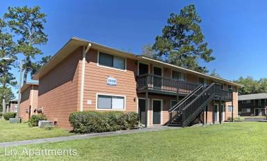 Main picture of Liv Apartments