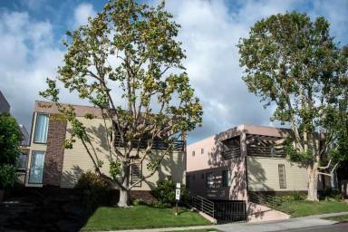 Main picture of 407 W Lexington Dr