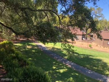 Main picture of 310 Indian Way