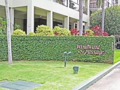 Main picture of Windward Passage