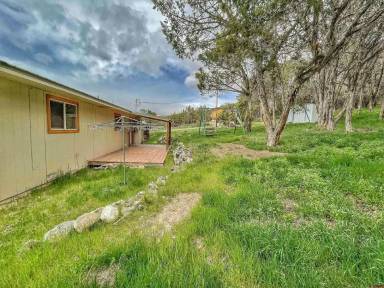 Main picture of 24816 Robin Rd