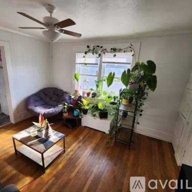 Main picture of 13 Newfound St