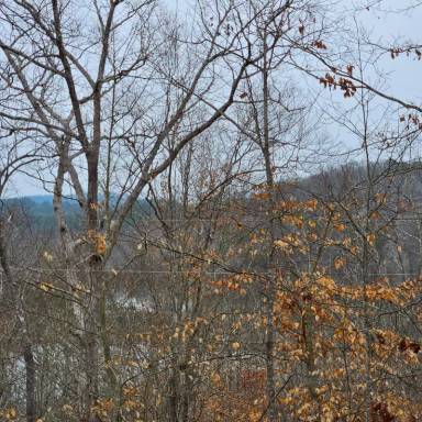 Main picture of 67 Josiah Dr