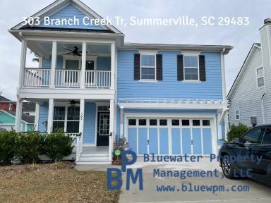 Main picture of 303 Branch Creek Trl