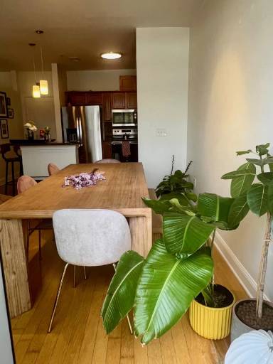 Main picture of 2230 Cheshire Bridge Rd NE