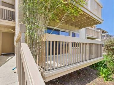 Main picture of Footprints on the Bay