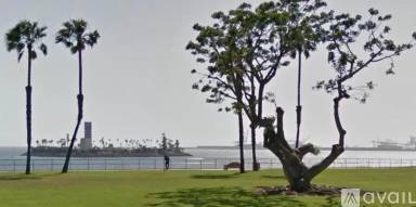 Main picture of 3515 E Ocean Blvd