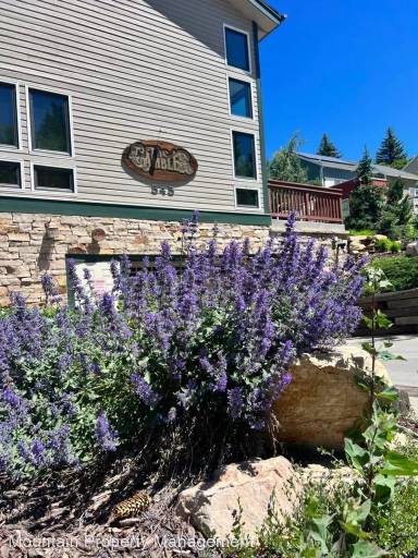 Main picture of 545 Deer Valley Dr