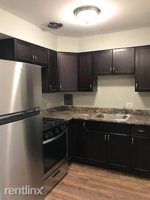 Main picture of 1045 S Halsted St