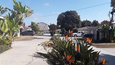 Main picture of 13434 Doty Ave
