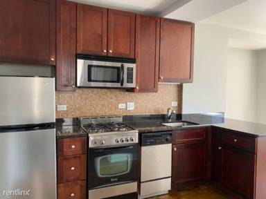 Main picture of 1300 N Lake Shore Drive Condo