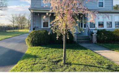 Main picture of 306 W Arbor Ave