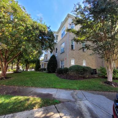 Main picture of 3161-204 Hemlock Forest Circle