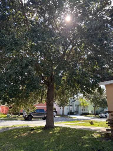 Main picture of 470 Scrub Jay Way